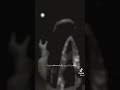 ЩЉШ ЩѓШЁШ Ш ШёЩ Ш Щ ЩЉ ЩЉШґЩ ЩЃЩ Щ Щ рџЊёвќ пёЏ ЩЉШ ЩѓШЁШ Ш ШёЩ Ш Щ ЩЉ ЩЉШґЩ ЩЃЩ Щ Щ рџЊёвќ пёЏ