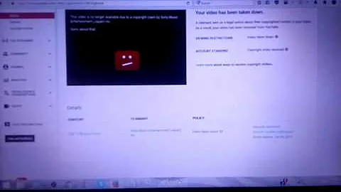 SME - Not So Fraudulent Copyright Claim (Read Description)