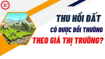 Thu Hồi Đất Có Được Đền Bù Theo Giá Thị Trường? | TVPL