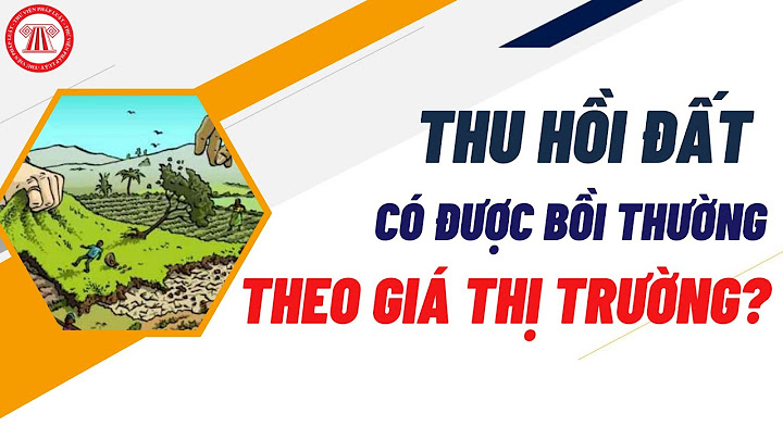 Giải an ủi năm 2002 giá trị bao nhiêu