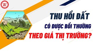 Thu Hồi Đất Có Được Đền Bù Theo Giá Thị Trường? | TVPL screenshot 4