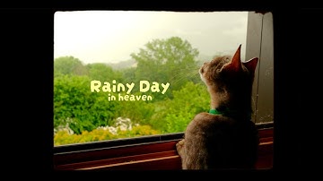 Rainy day in heaven.