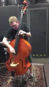 David Gage Czech Ease Road Bass C1