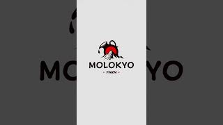 Как я вижу логотип японской молочной фермы. #logo #graphic design #design