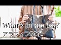 【What's in my bag?】ポーチやバッグの中身をご紹介/お出掛け普段用バッグ２点/50代