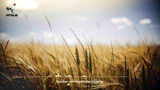 Lagu Pengantar Tidur