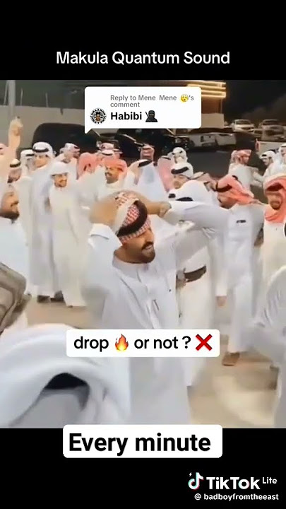 Habibi||quantum sounds #RSA#Makula#fyp#viral#amapiano#piano