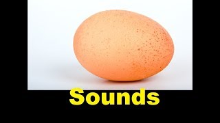 Egg Sound Effects All Sounds