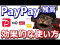 今さら聞けないPayPayお得な使い方！PayPayの種類や有効的な活用方法を3つ紹介