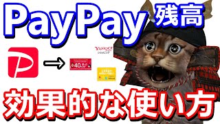 今さら聞けないPayPayお得な使い方！PayPayの種類や有効的な活用方法を3つ紹介