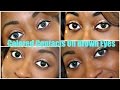 Colored Contacts For Brown Eyes