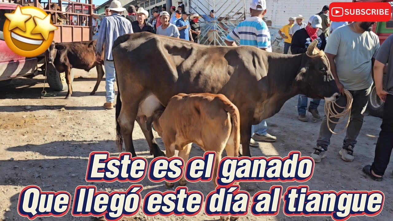 Dia de Tiangue en Santa Rosa de Lima La Unión El Salvador 