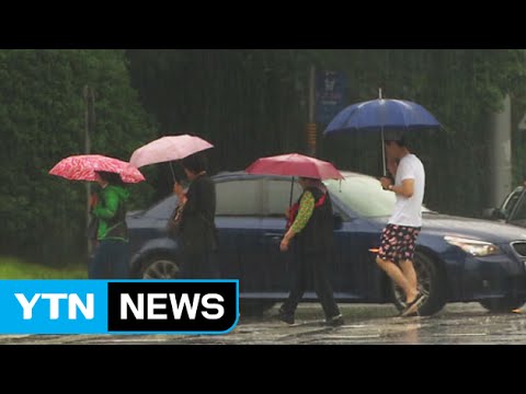 [날씨] 오늘 충청 이남 장맛비...내일 수도권 영향 / YTN
