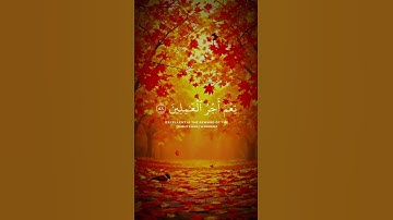 ما أجمل القرآن الكريم ❤💗💝🌹🥰 #قران_كريم
