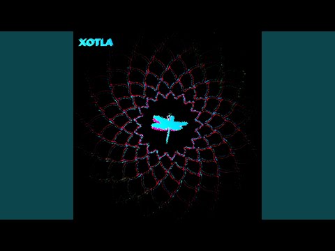 Orbital Motive