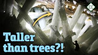 How Do Minerals Form?: Crash Course Geology #5