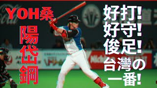 1 陽岱鋼北海道火腿時期精華北海道日本ハムファイターズFighters