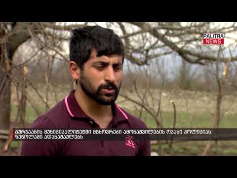 გურჯაანის მუნიციპალიტეტში მცხოვრები ამონაშვილების ოჯახი პოლიციას ზეწოლაში ადანაშაულებს