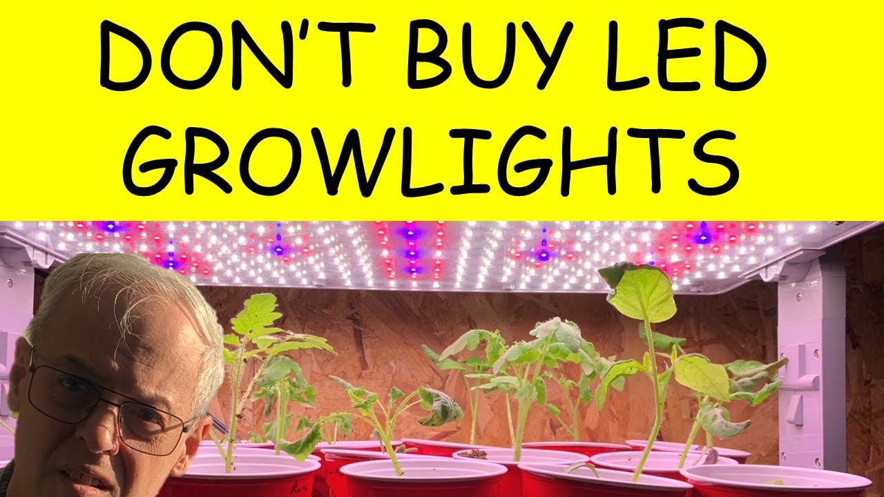 GROW LIGHTS Are they necessary? YouTube