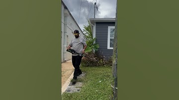 Ego commercial string trimmer absolutely a beast ⚡️