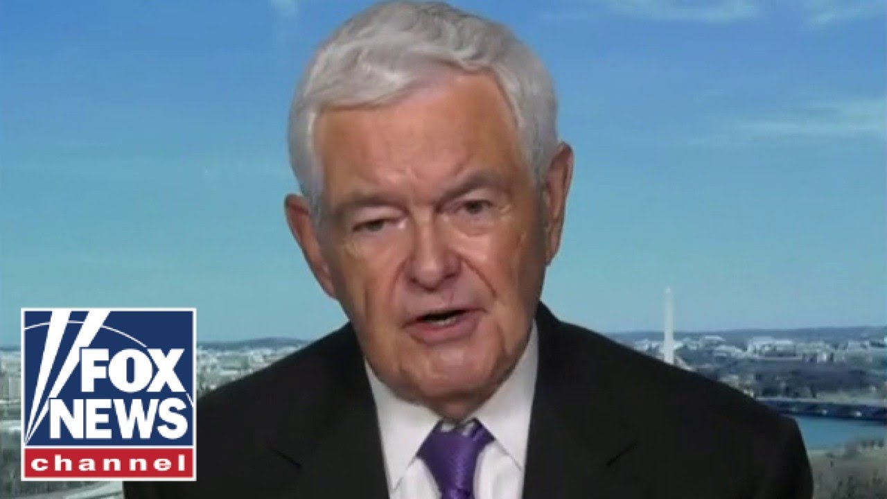 Newt Gingrich: This is the insanity of the Biden administration￼