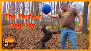 Virtually Indestructible Ball: The Perfect Way to Exercise Your Full Time RV Dog or Vanlife Dog