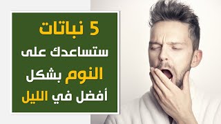 للحصول على نوم عميق: 5 نباتات ستساعدك على النوم بشكل أفضل