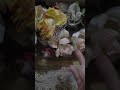ادخلي عندي استفادي ادخلي عندي استفادي