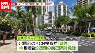 「新型コロナ」ハワイ“隔離免除”　観光業界から期待の声（2020年11月6日放送「news zero」より）