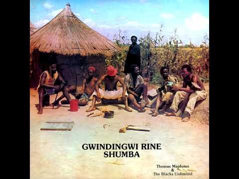 Thomas Mapfumo  The Blacks Unlimited   Gwindingwi Rine Shumba 1980