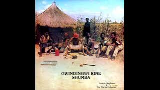 Thomas Mapfumo & The Blacks Unlimited - Gwindingwi Rine Shumba (1980)