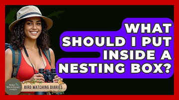 What Should I Put Inside A Nesting Box? - Bird Watching Diaries