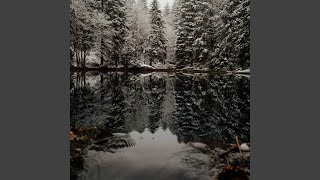 Grounded Tranquility