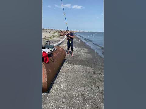 Kütüm balığı.Xəzər dənizi .Кутум на Каспии . Ловля кутума - YouTube
