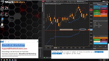 BlackBird - Example of Risk Per Trade to Auto Scale the Number of Contracts