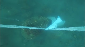Rock/Boulder Seabed.  Anchor Test Video #145