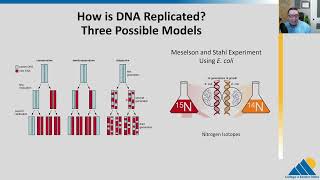 BIO201 Ch14.3 | Basics of DNA Replication