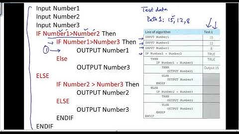 Black Box Testing  and Planning Test Data for White Box Testing