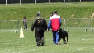 Beauceron Nationale d' Elevage 2009. Ring 3. 6 partie