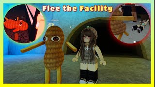 O AMENDOIM - Roblox Flee the Facility @heynath8428