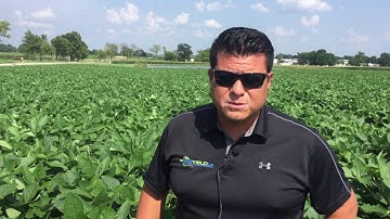 Yield Booster Application Options