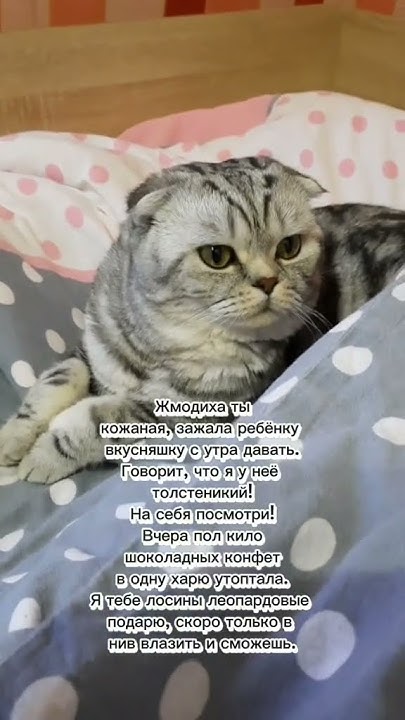 #леви - YouTube