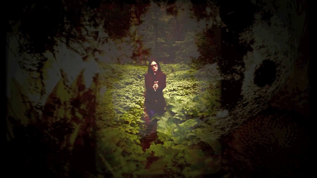 Watch Jesse Sykes and the Sweet Hereafter "Pleasuring The Divine" (official) on YouTube Watch Jesse Sykes and the Sweet Hereafter "Pleasuring The Divine" (official) on YouTube