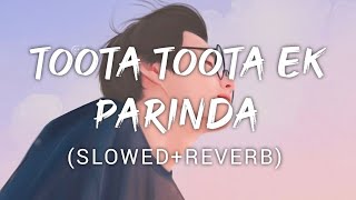 Toota Toota Ek Parinda | Kailash kher | Music Lyrics screenshot 4