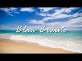 Blau Bräute / Yy feat. 巡音ルカ