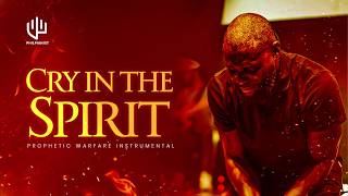 Spirit Cry | Prophetic Warfare Instrumental | Background Prayer Music| Time To Pray |Tongues Of Fire