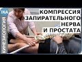 КОМПРЕССИЯ ЗАПИРАТЕЛЬНОГО НЕРВА И ПРОСТАТА. Кинезиология. Германия