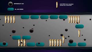 The Heat Exchange System -  MaxR100