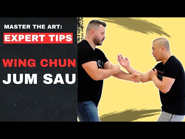 Expert Wing Chun Tips - The Jum Sau  - Kung Fu Report #341 class=