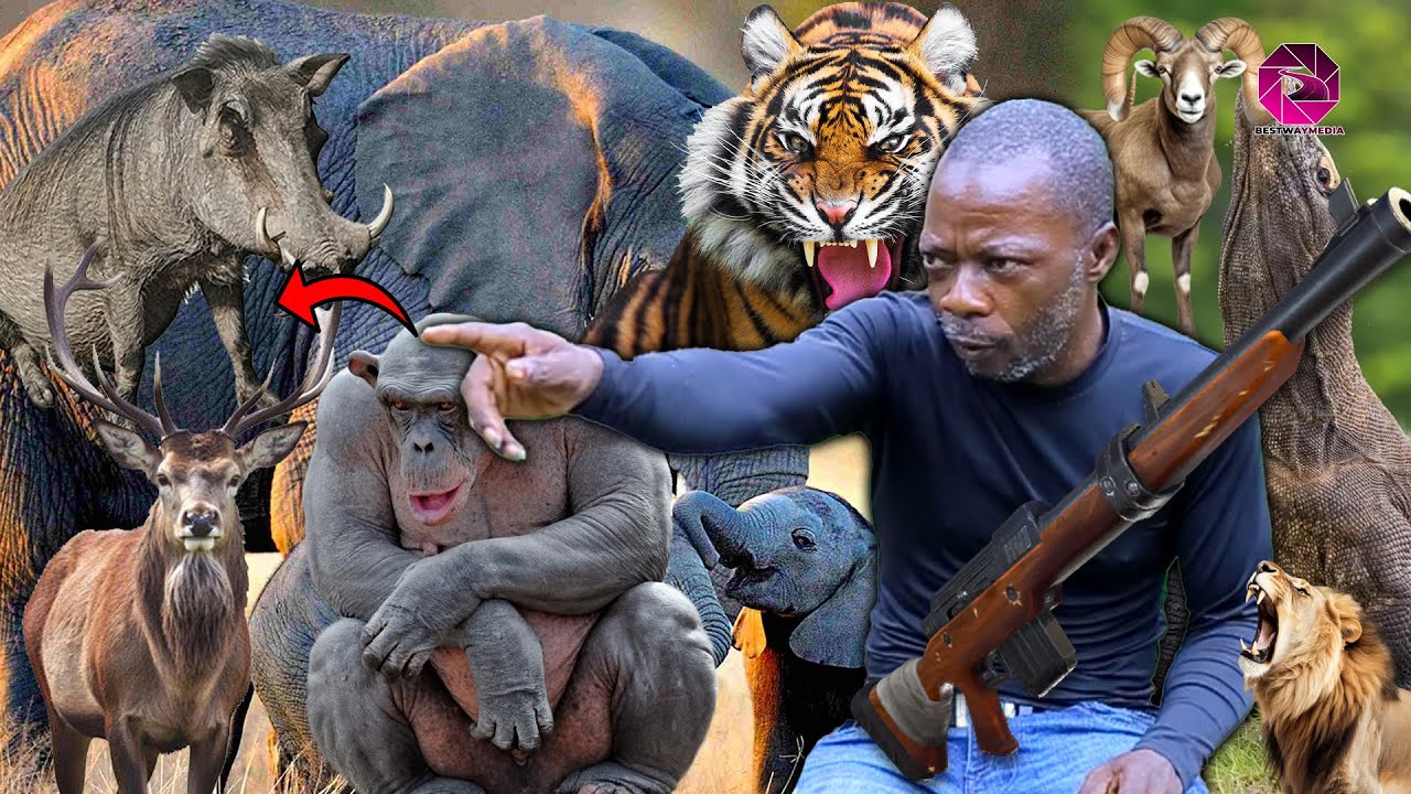 😱Mysteries in Hunting: Earth spoke to hunters dog after a brave battle with BOAR& PYTHON 🐍 @forest